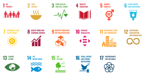 United Nations Sustainable Development Goals