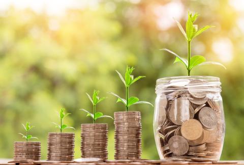 increasing piles of coins, ending in a jar of coins, in a row with green shoots sprouting out of the tops. Garden background and sunlight.