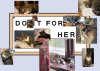 A sign covered in cat pictures, such that it reads 'do it for her'